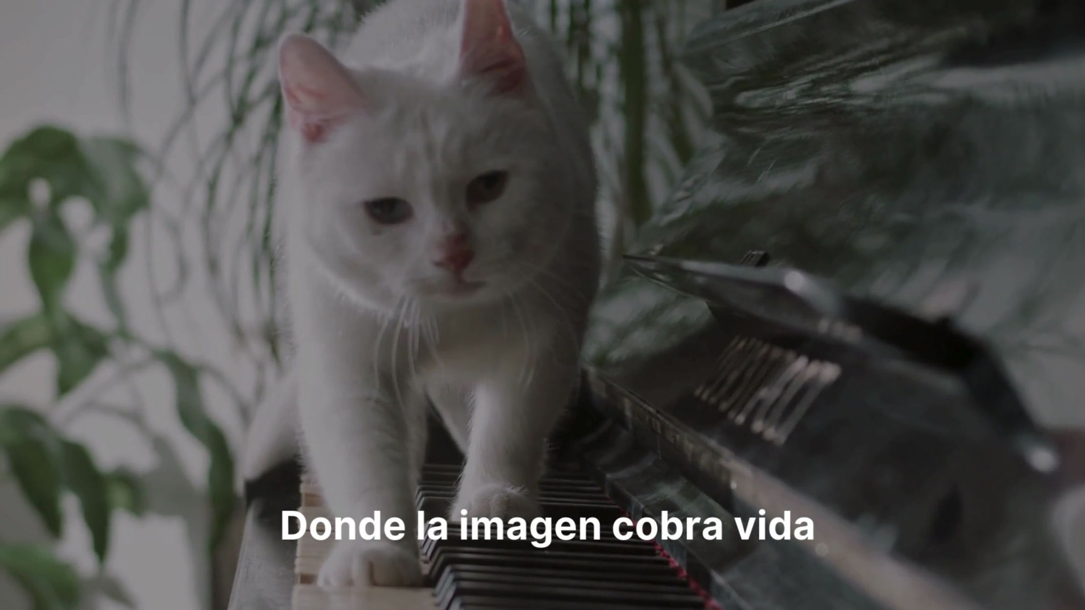 Crea Artsound Pets, un regalo que acaricia el alma